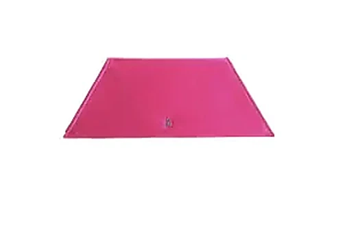 Amina Muaddi Baguette Small בצבע Pink