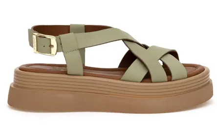 U.S. Polo Assn. Bros בצבע Olive Green
